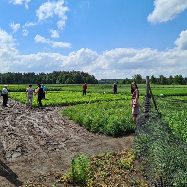 Na drugim  zdjęciu grupa rolników ogląda  na poletkach doświadczalnych odmiany soi i łubinu 