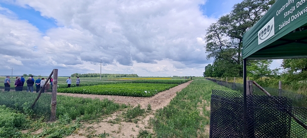 Zdjęcie 2 przedstawia dwie kilku osobowe grupy rolników podczas wizytowania doświadczenia soja i roślinami bobowatymi grubonasiennym