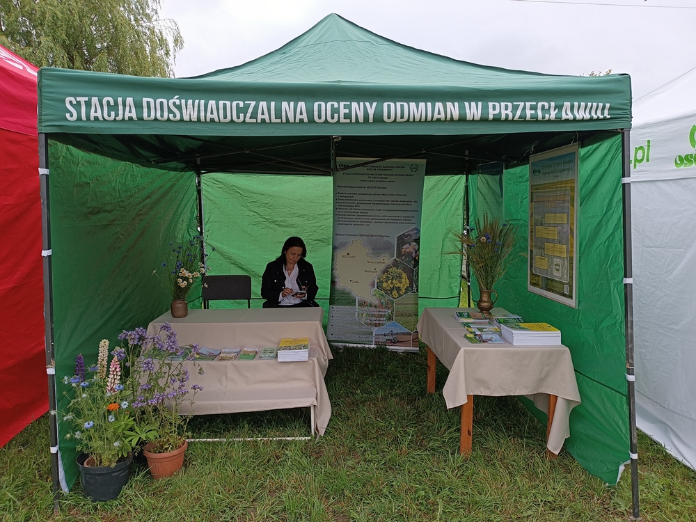 Zdjęcie zawiera stoisko przygotowane przez nas na Dniach Pola w Boguchwale