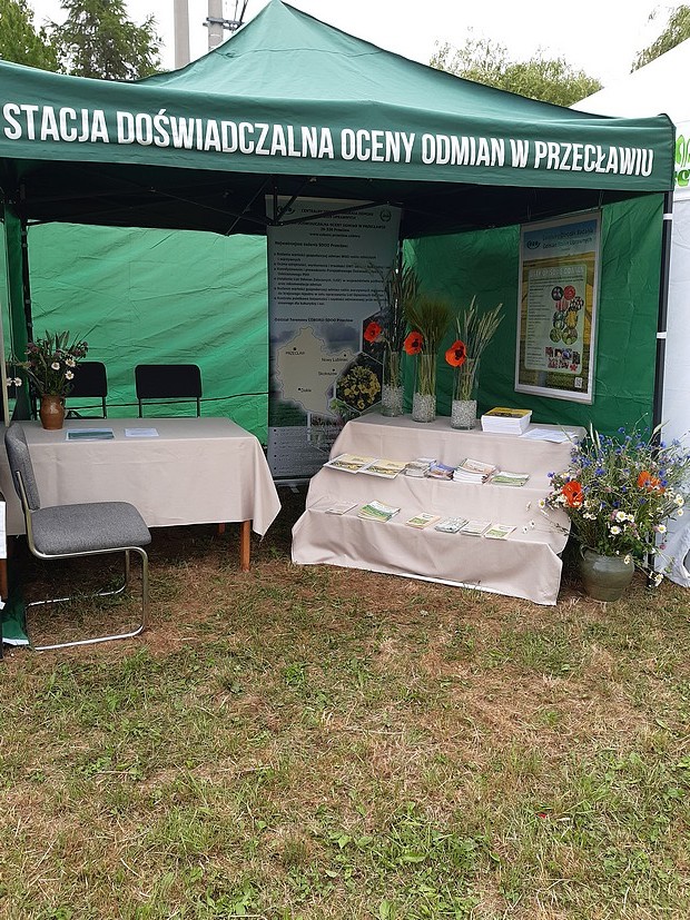 Zdjęcie 1  przedstawia ogólny widok namiotu z napisem Stacja Doświadczalna Oceny Odmian w Przecławiu, przygotowanymi broszurami dla rolników, i dekoracja , ktra stanwia kłosy zbóż i kwitnące rośliny pól